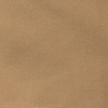Color:151 - CAMEL