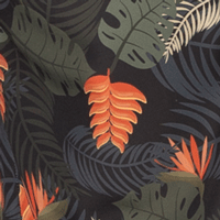 Color:1127 - PARAISO