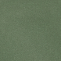 Color:149 - VERDE CAQUI