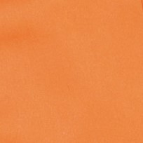 Color:126 - NARANJA VIGORE