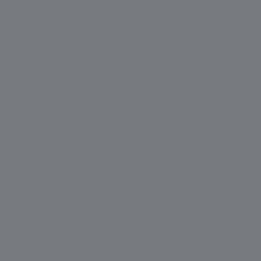 Color:109 - GRIS