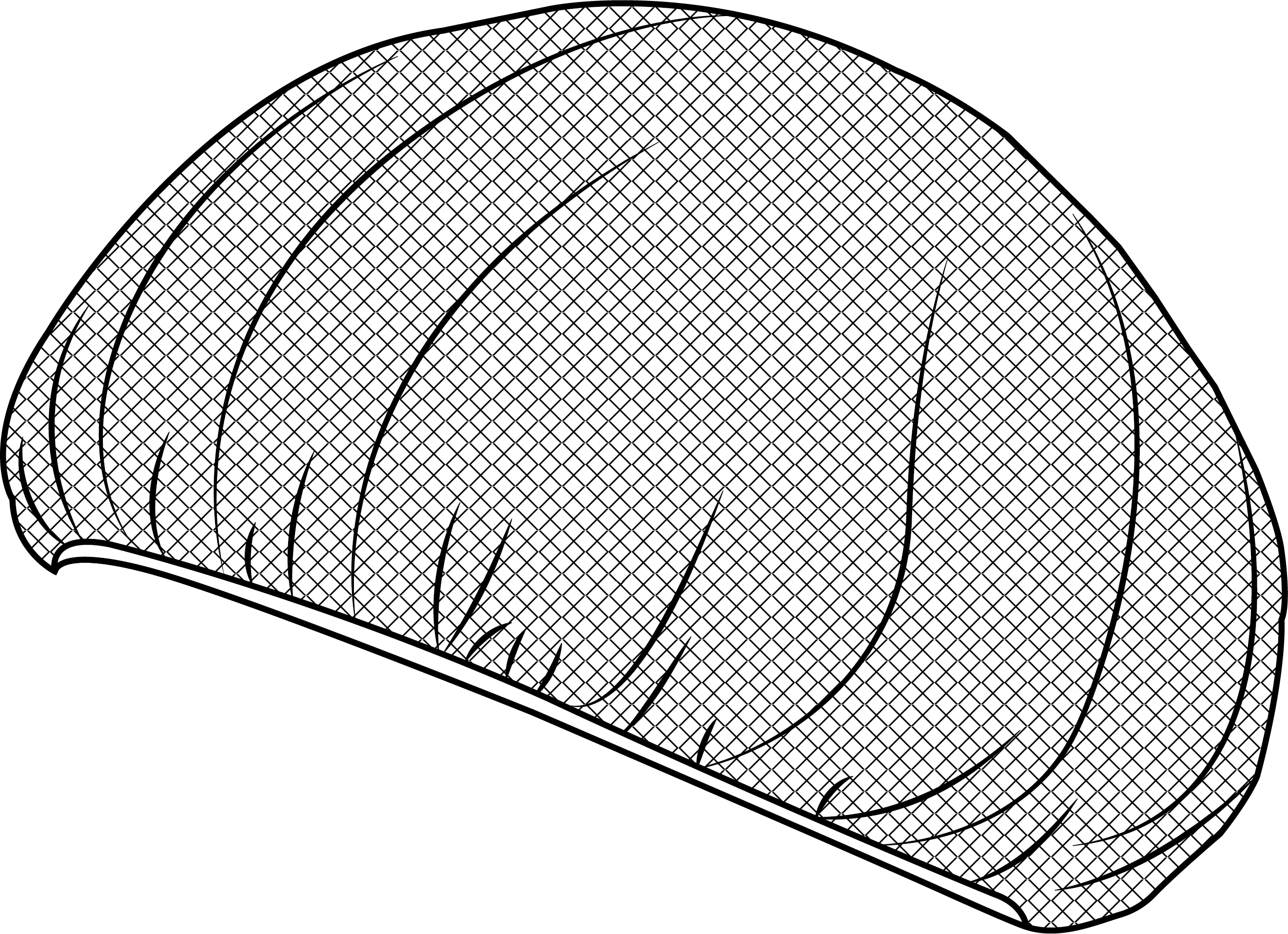 GORRO DE REJILLA (Paq. 10 uds.)