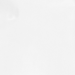 Color:101 - BLANCO