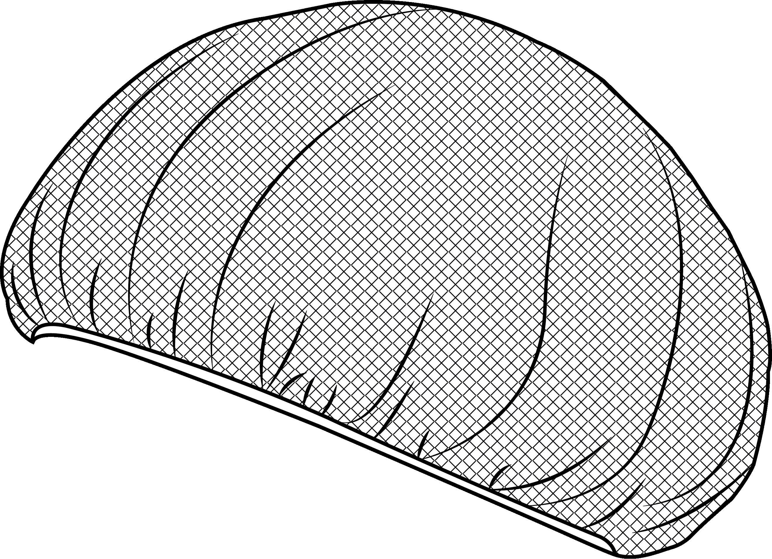 CAPPELLINO DI RETE (Paq. 10 un.)
