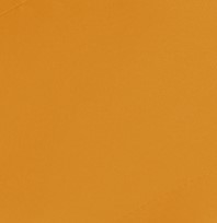 Color:128 - ALBERO