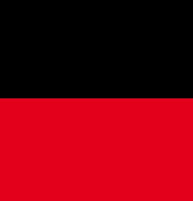 Color:001105 - NEGRO/ROJO