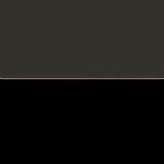 Color:149001 - VERDE CAQUI/NEGRO