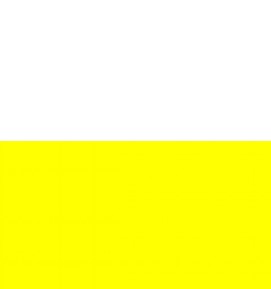 Color:101111 - BLANCO/AMARILLO