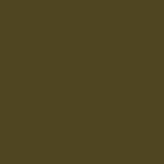 Color:149 - VERDE CAQUI