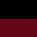 Color:001112 - NEGRO/BURDEOS