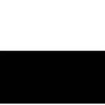 Color:101001 - BLANCO/NEGRO