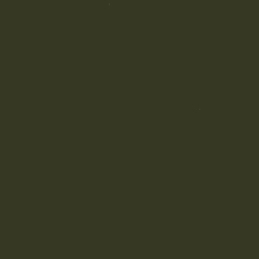 Color:149 - VERDE CAQUI