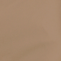 Color:151 - CAMEL