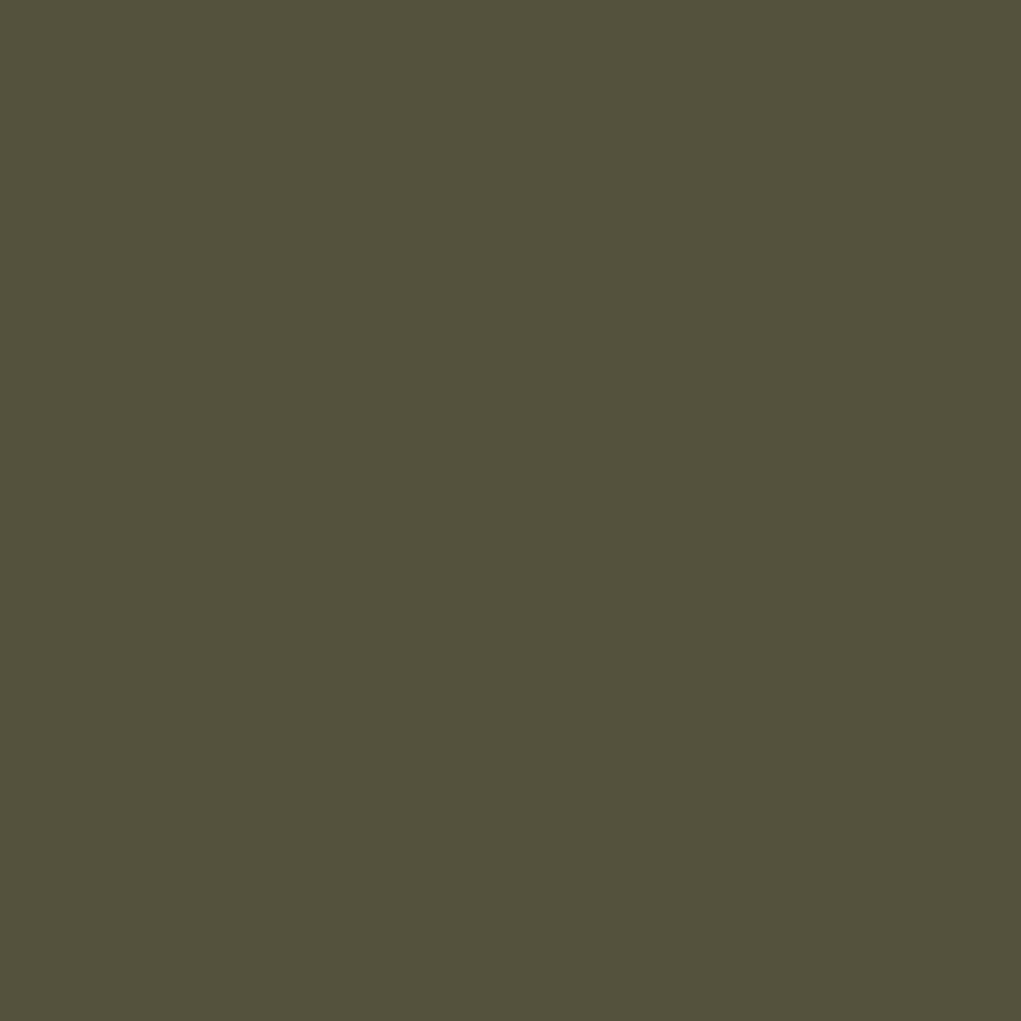 Color:312 - OLIVE