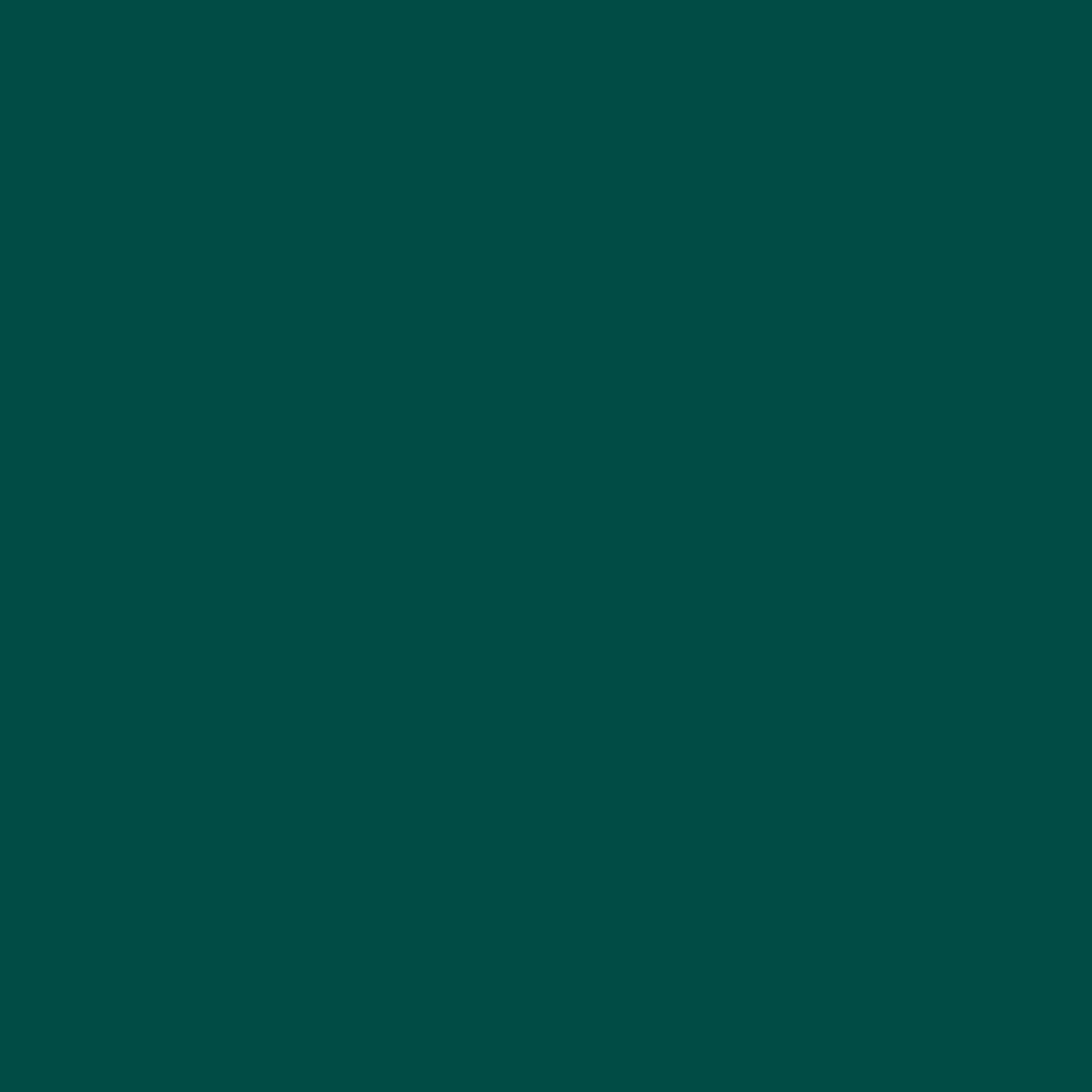 Color:37 - HUNTER