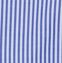 Color:1143 - RAYA AZULINA