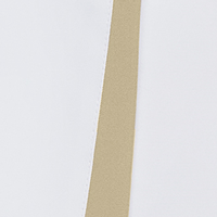 Color:151 - CAMEL