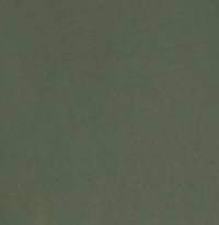 Color:121 - VERDE OLIVA