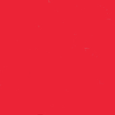 Color:105 - ROJO