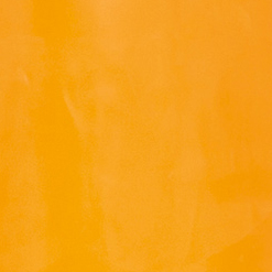 Color:750 - POPELIN MOSTAZA