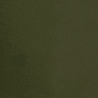 Color:599 - SARGA POL. CAQUI