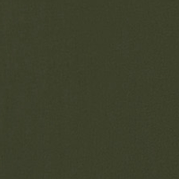 Color:149 - VERDE CAQUI