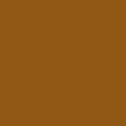 Color:151 - CAMEL