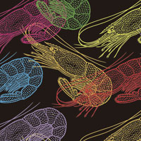 Color:5112- GAMBAS