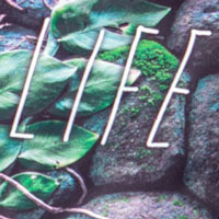 Color:5129 - LIFE