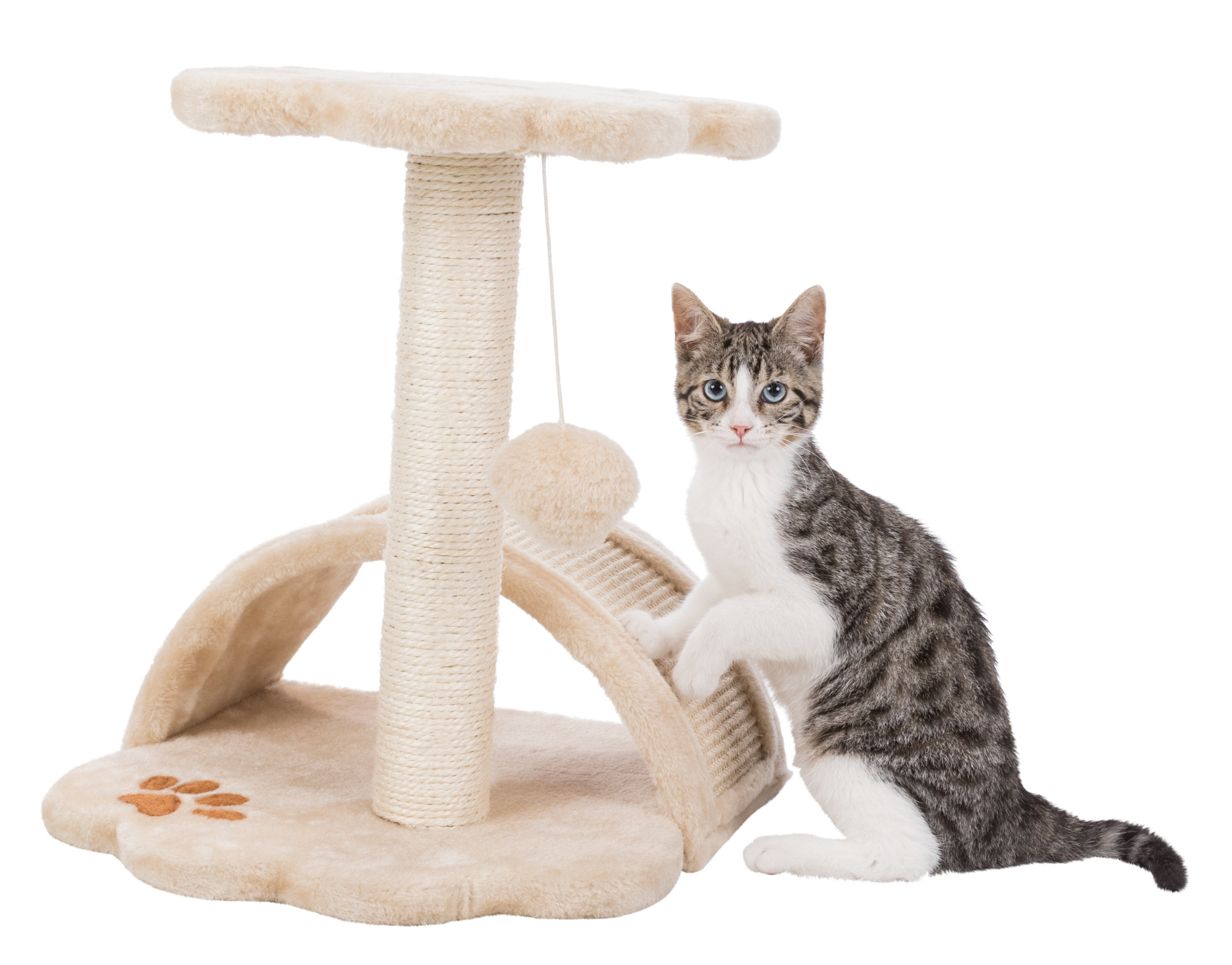 Poste rascador JUNIOR Vitoria, 43 cm, beige/natural