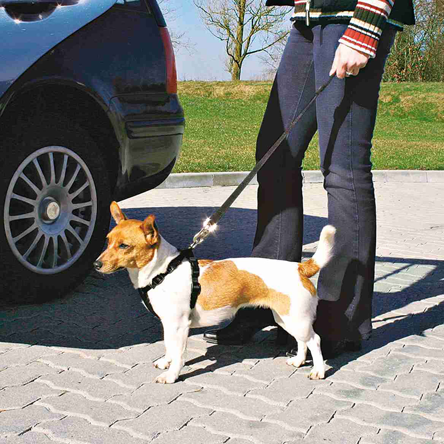 Arnés con cinturón de Seguridad, S, 30-60 cm
