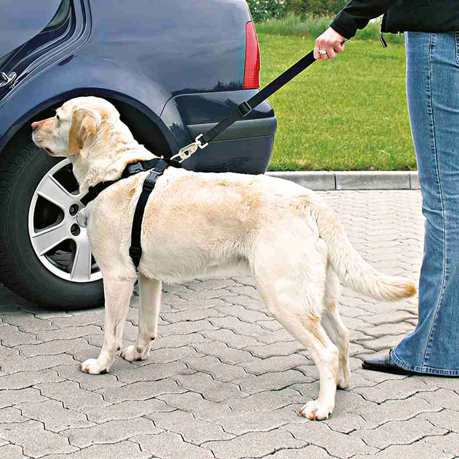 Arnés con cinturón de Seguridad, L, 70-90 cm