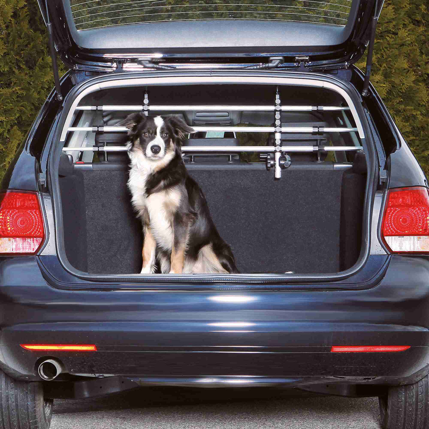 Rejilla Seguridad para Coche, Plata-Negro