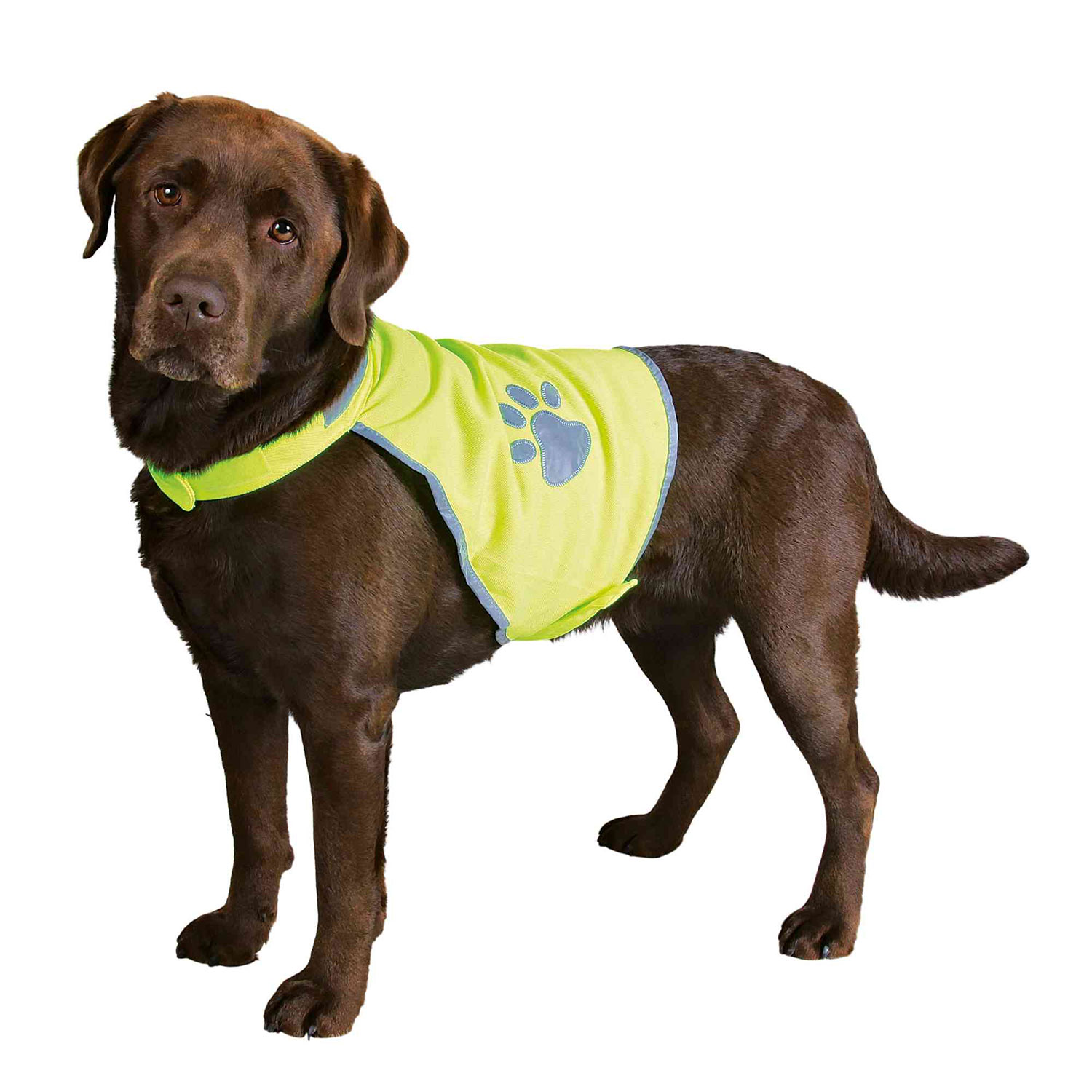 Chaleco de Seguridad Reflectante Perros, S