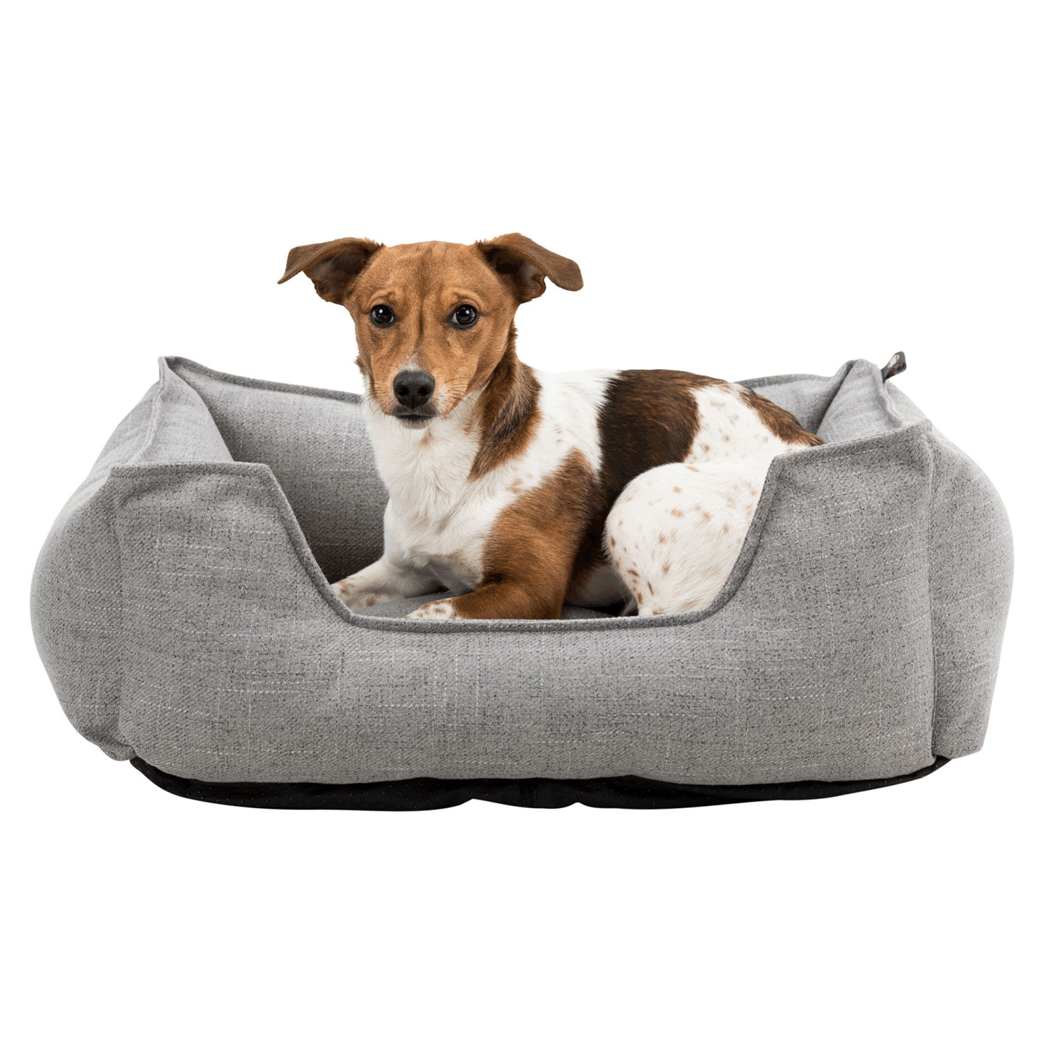 Cama Talis, 100 × 70 cm, Gris