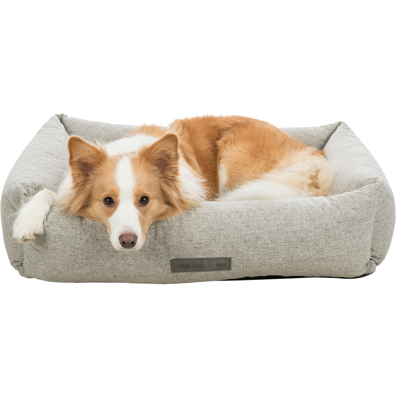 Cama Vital Noah, cuadrado, 80 × 60 cm, Gris Claro