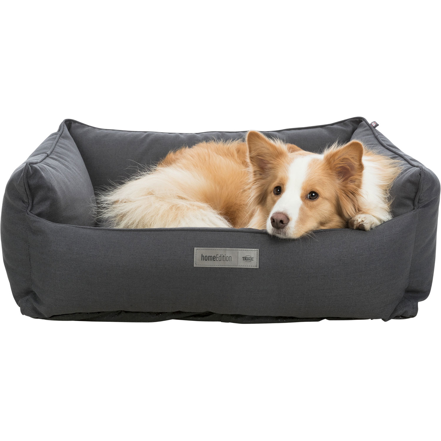 Cama Farello, cuadrado, 80 × 60 cm, Negro