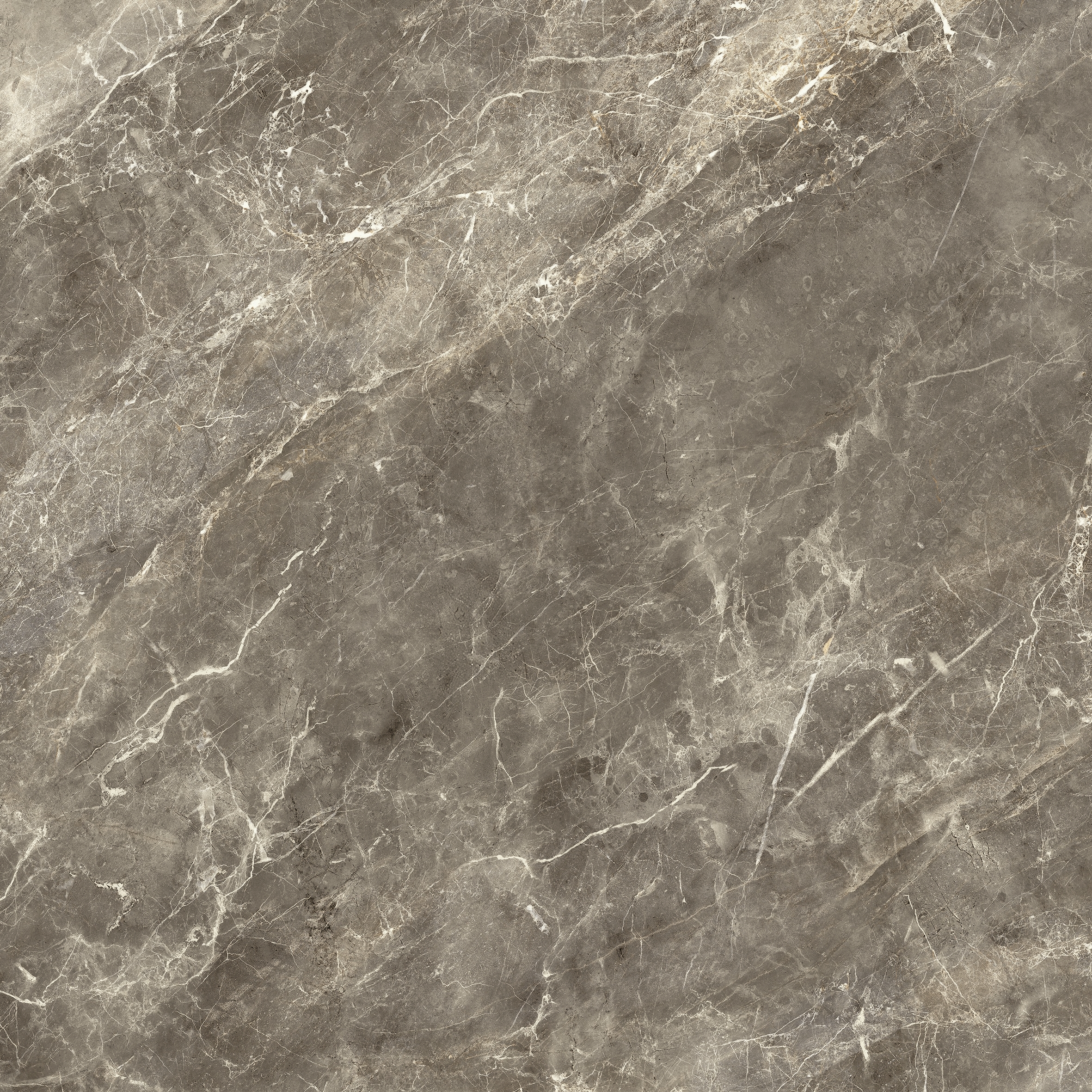 BALMORAL BROWN RECTIFICADO - 60X60 RECT.