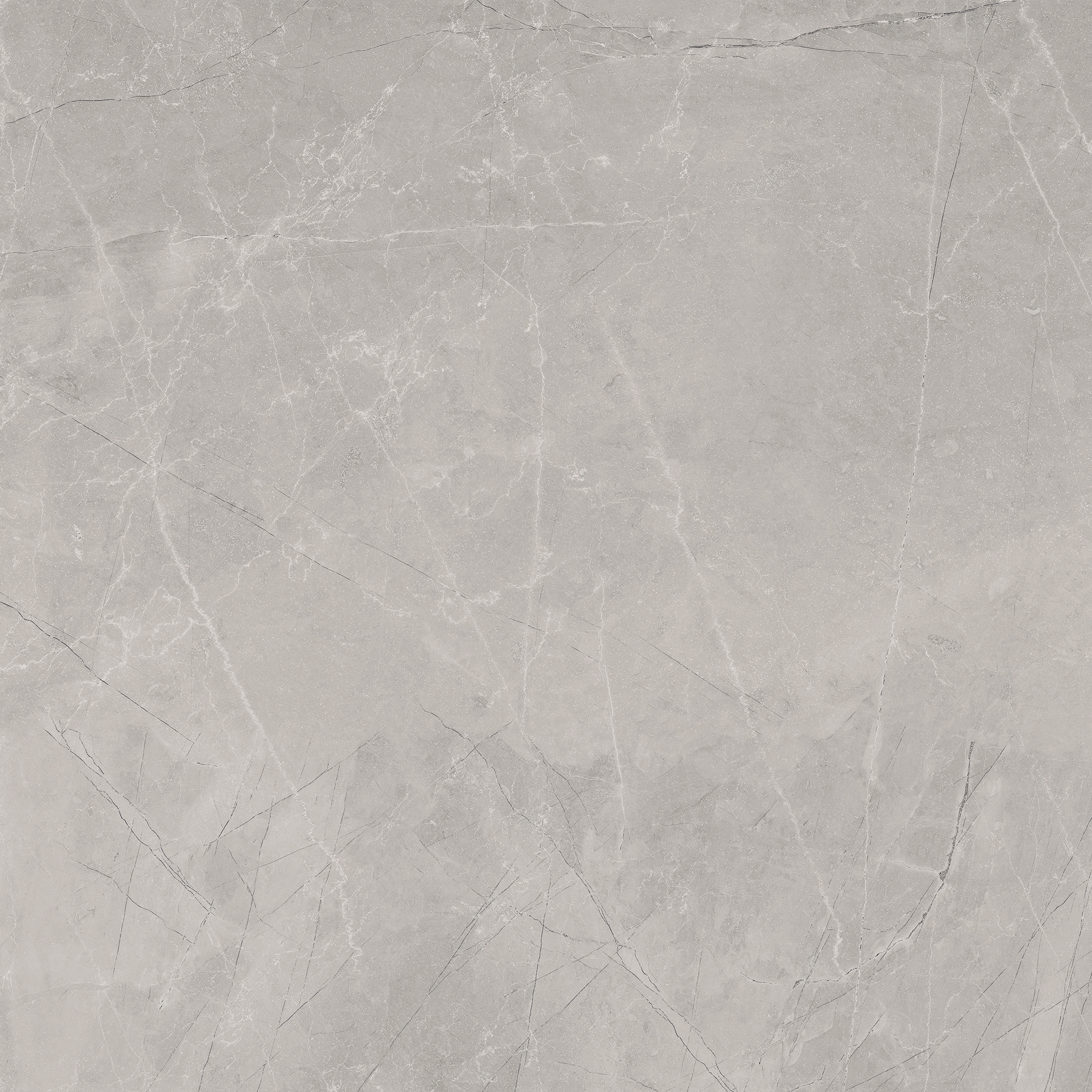 BAYONA SILVER NATURAL - 120X120