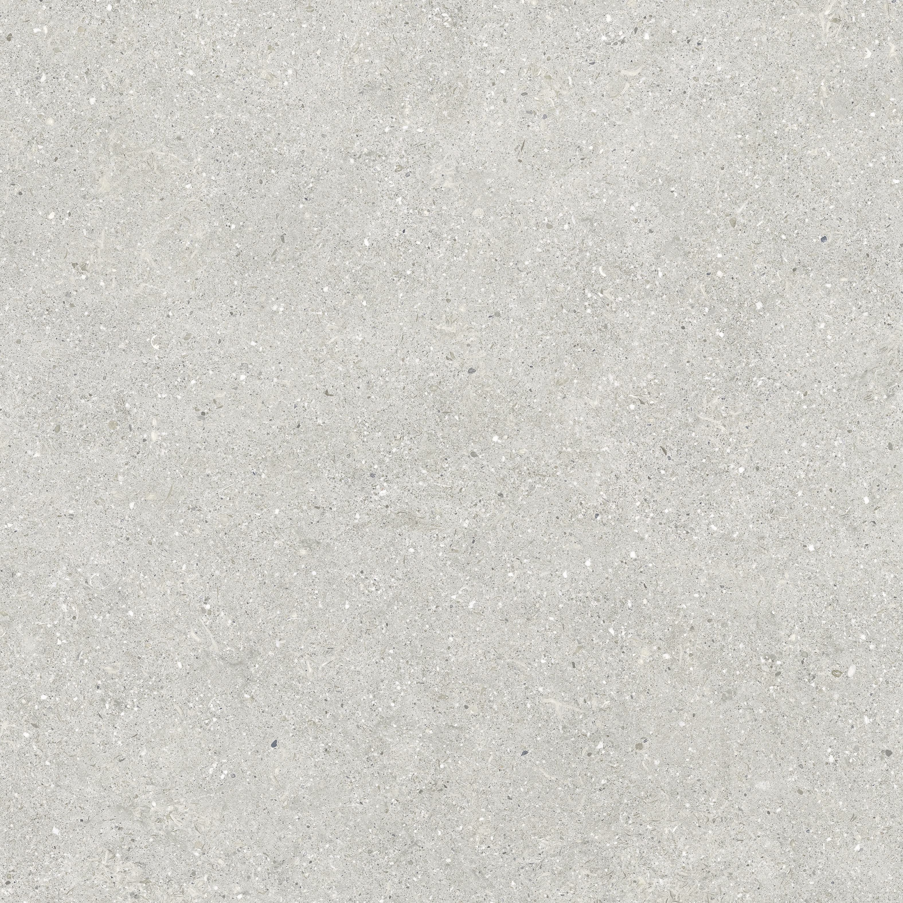 BRUNSWICH CENIZA RECTIFICADO - 80X80 RECT.