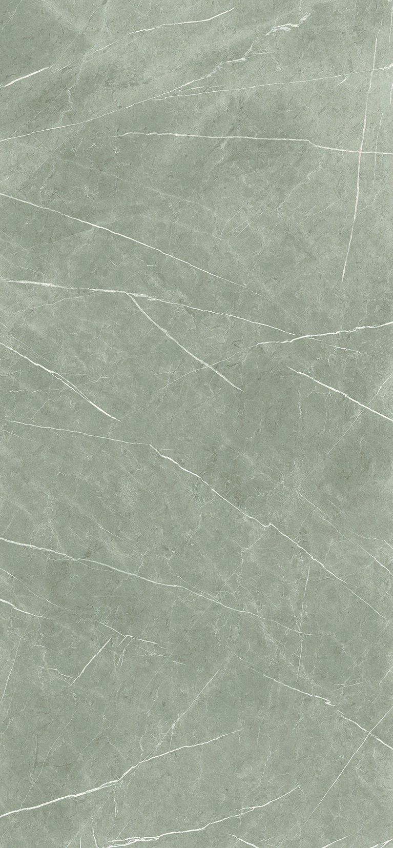 ETERNAL TAUPE NATURAL - 120X260