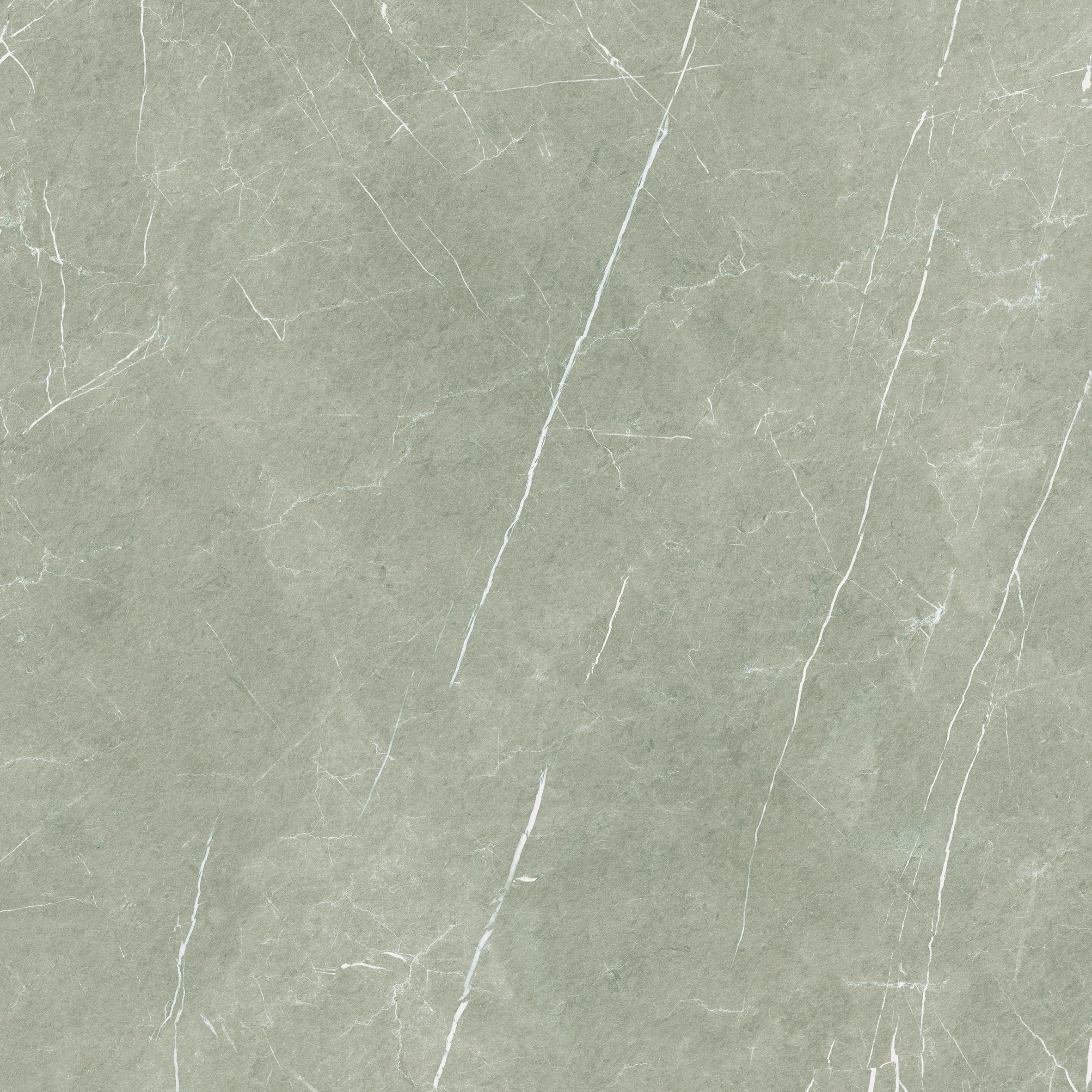 ETERNAL TAUPE PULIDO RECTIFICADO - 80X80 RECT.