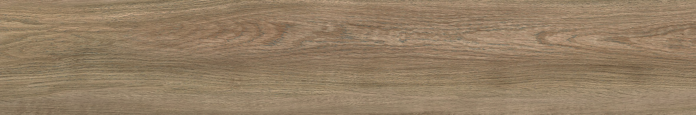 FORESTA QUERCIA RECTIFICADO - 20X120