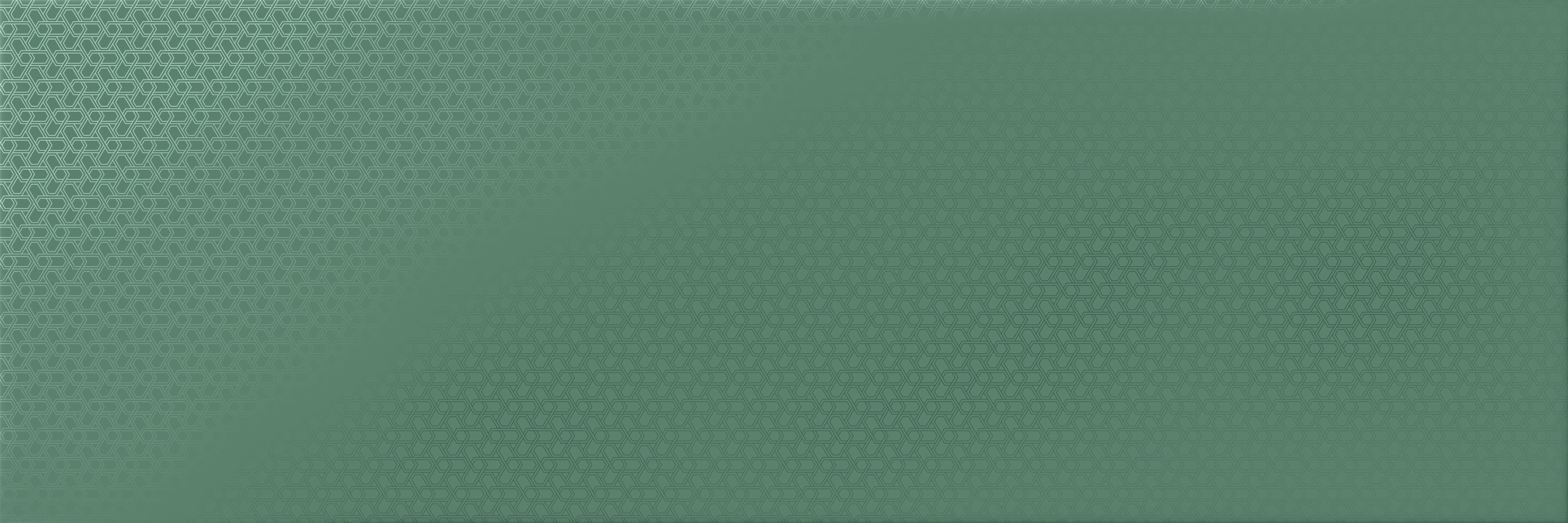 MONTMARTRE VERT RECTIFICADO - 30X90 R