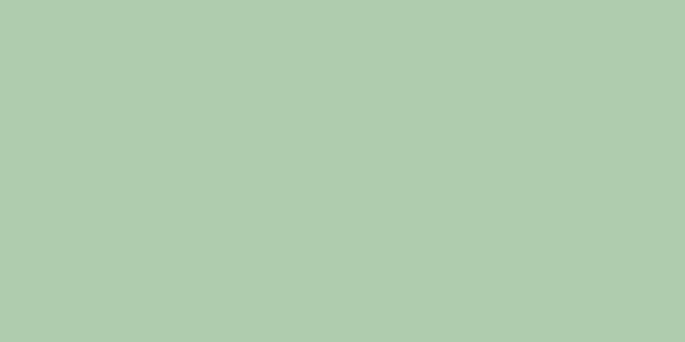 MONTMARTRE MENTHE RECTIFICADO - 60X120 PBR