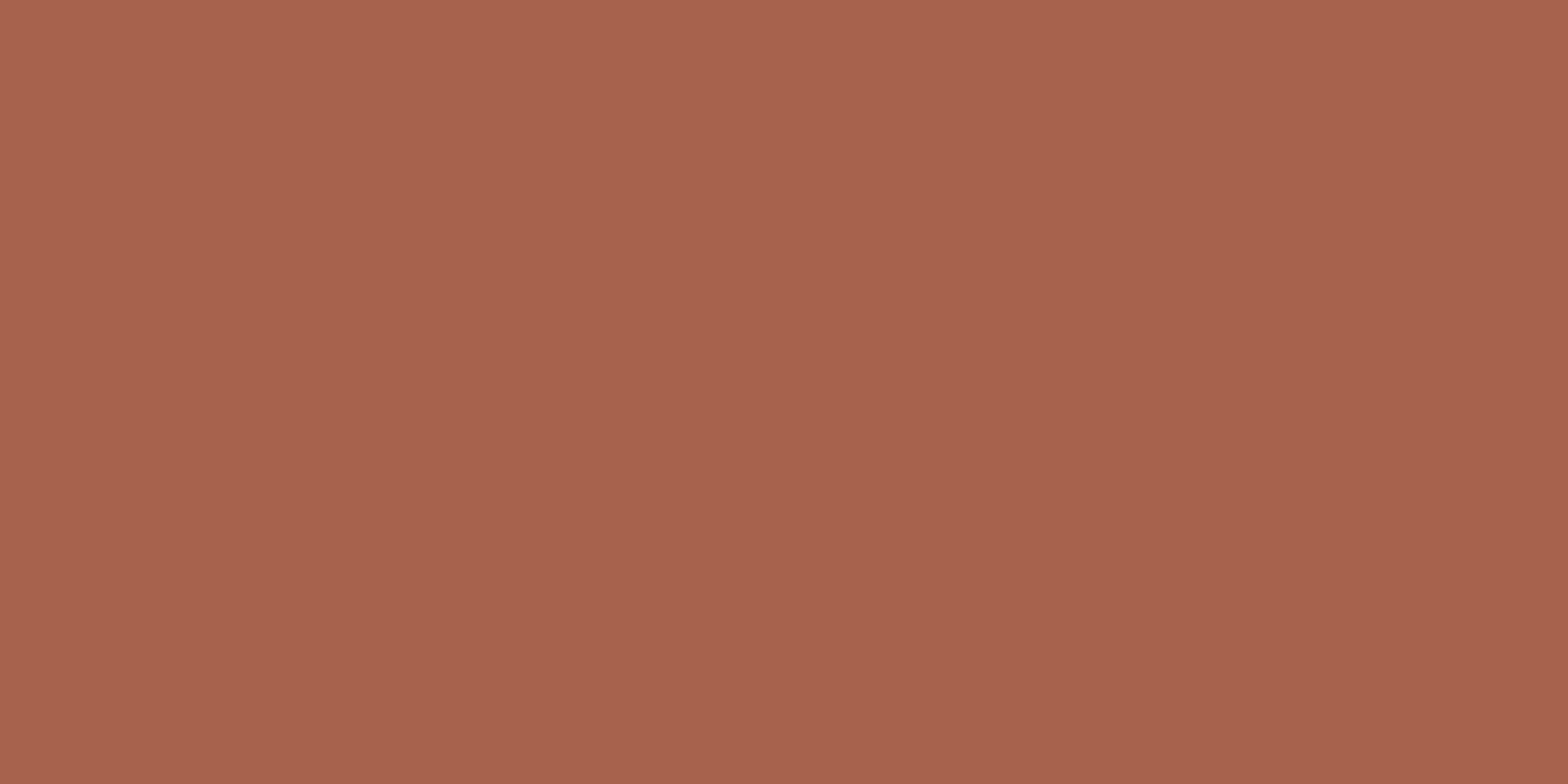 MONTMARTRE TERRE RECTIFICADO - 60X120 PBR