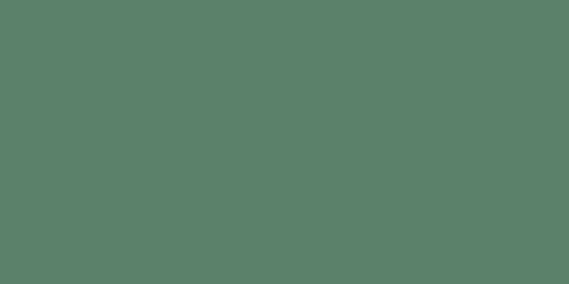 MONTMARTRE VERT RECTIFICADO - 60X120 PBR