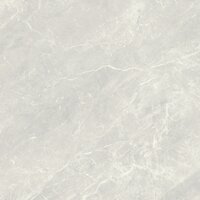 BALMORAL SILVER RECTIFICADO - 60X60 RECT.