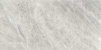 ELECTRA PEARL NATURAL RECTIFICADO - 60X120
