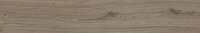 SEQUOYA WALNUT RECTIFICADO - 26X160